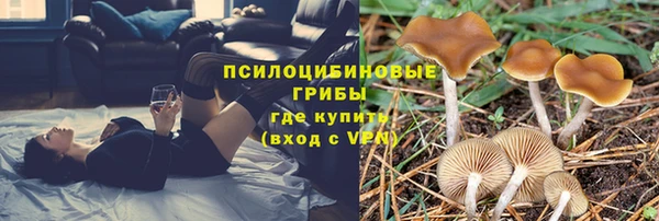 дмт Зерноград