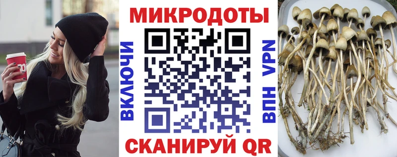 Псилоцибиновые грибы GOLDEN TEACHER  где купить наркоту  Пыталово 